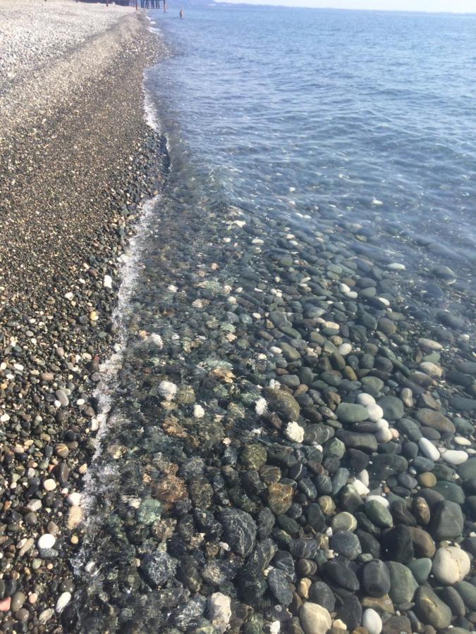 Гостевой Дом Siella Hotel Sukhumi Bagian luar foto