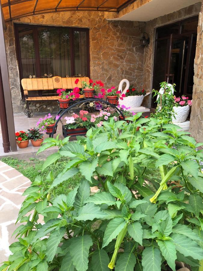 Гостевой Дом Siella Hotel Sukhumi Bagian luar foto